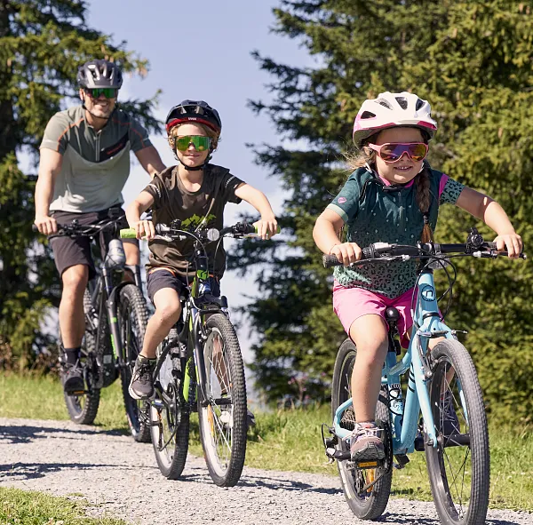 rennrad sattel kaufen Selle Italia X-Base Boost | 150 x 245 mm | Stahlstreben Stecker für Fahrradbeleuchtung | Category:Kinder Jugend_28T / 15T für leichteren Antritt beim Fahren Bitte Packungsgrösse auswählen::Belleage Handschuhe aus Baumwolle soft 1 Paar